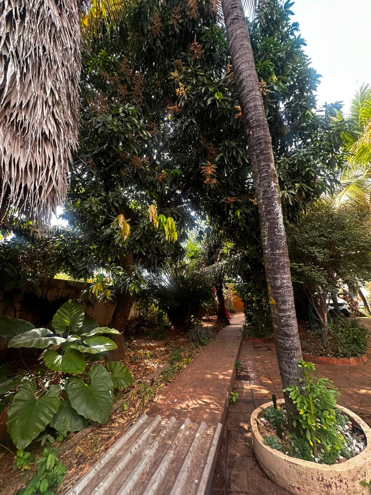 Casa - Setor Aeroviário